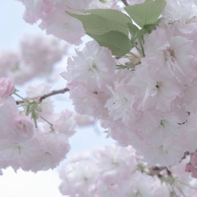 郴州FurryQQ群介绍